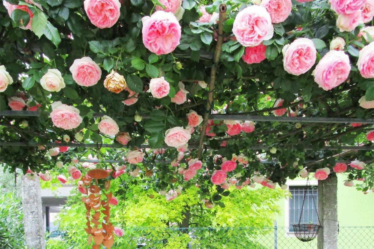 Bed And Breakfast Lucia Cesena Luaran gambar